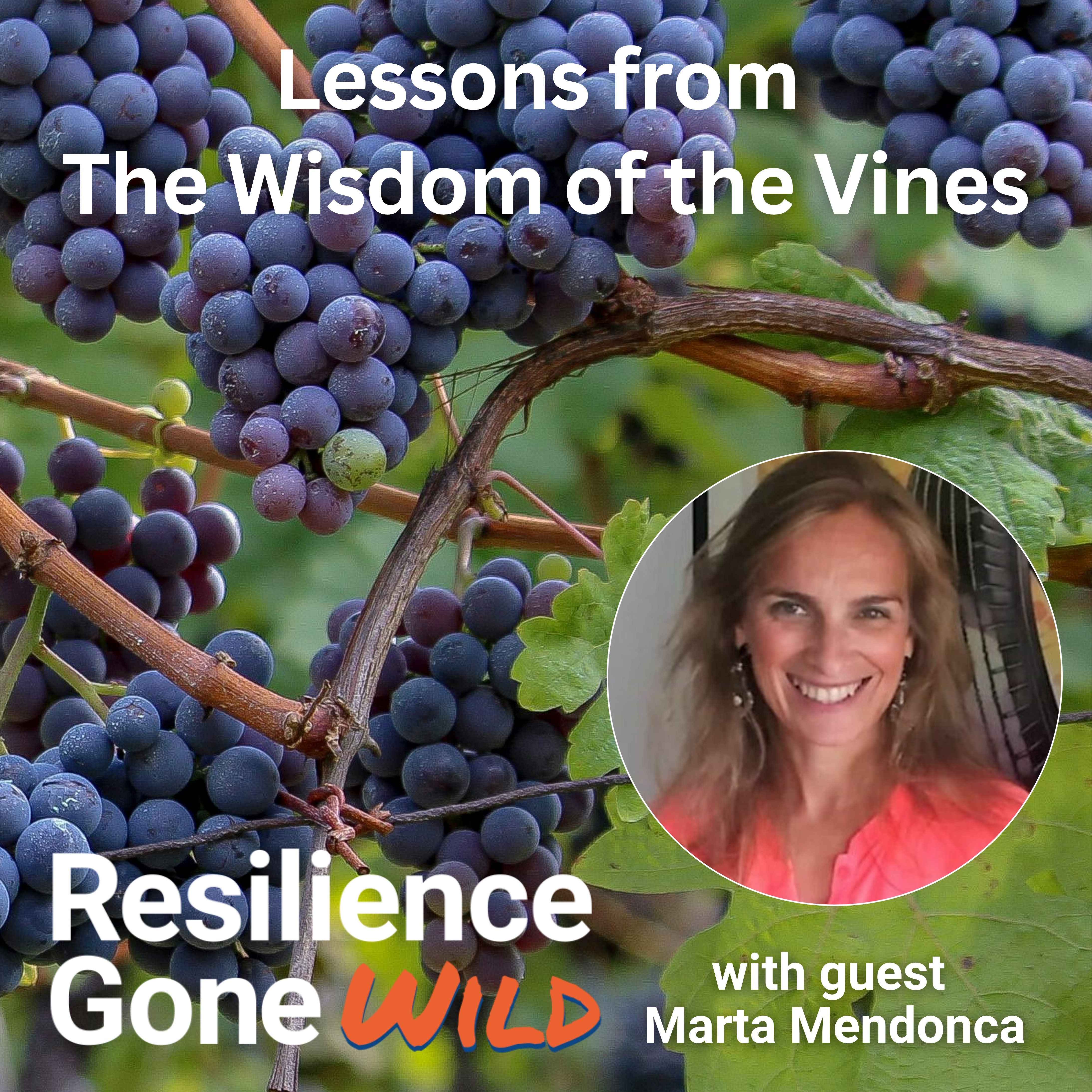 Marta Mendonca – Lessons from Wisdom of the Vines