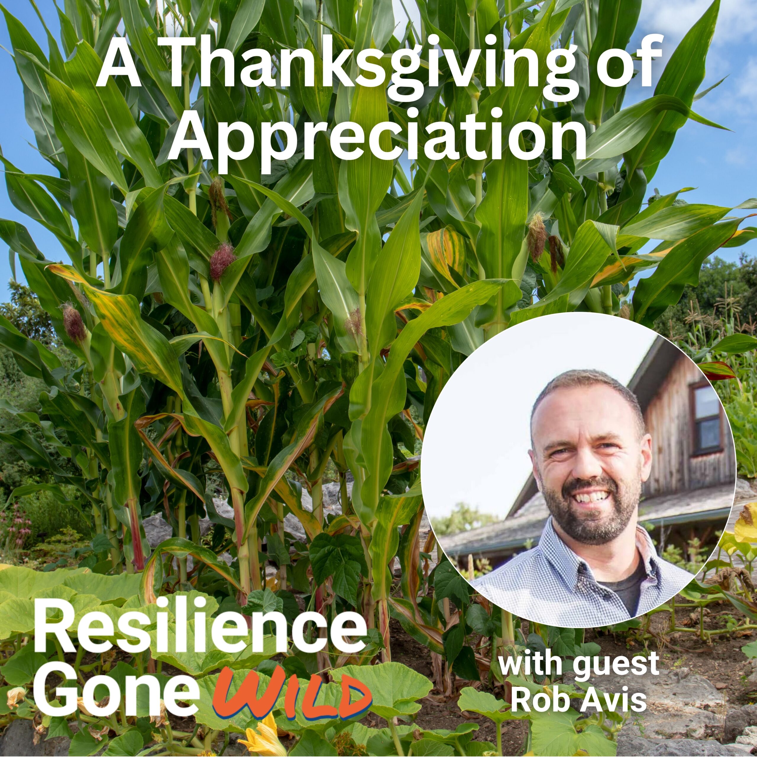 A Thanksgiving of Appreciation: Resilience Takes Root When We Honor One Another